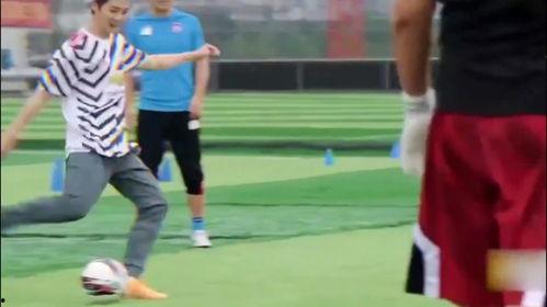 娱乐圈球技,球场上的明星风采