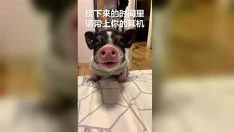 频道下 搞笑 第2张 频道下 搞笑 第2张