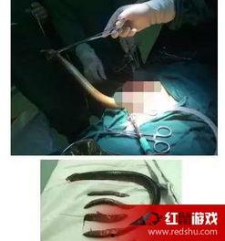 女主播 黄鳝视频,揭秘网络直播的暗黑面  第2张