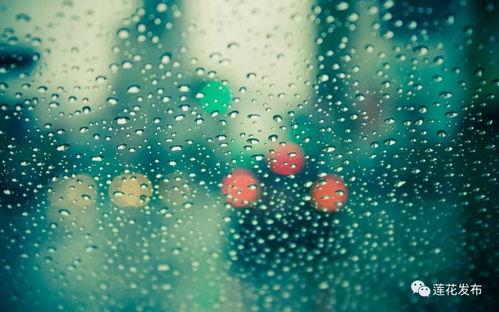 小雨的图片,捕捉自然之美瞬间 第2张 小雨的图片,捕捉自然之美瞬间 第2张